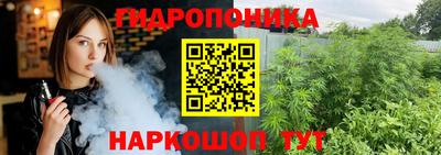 сатива Будённовск