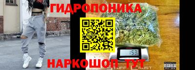 сатива Будённовск