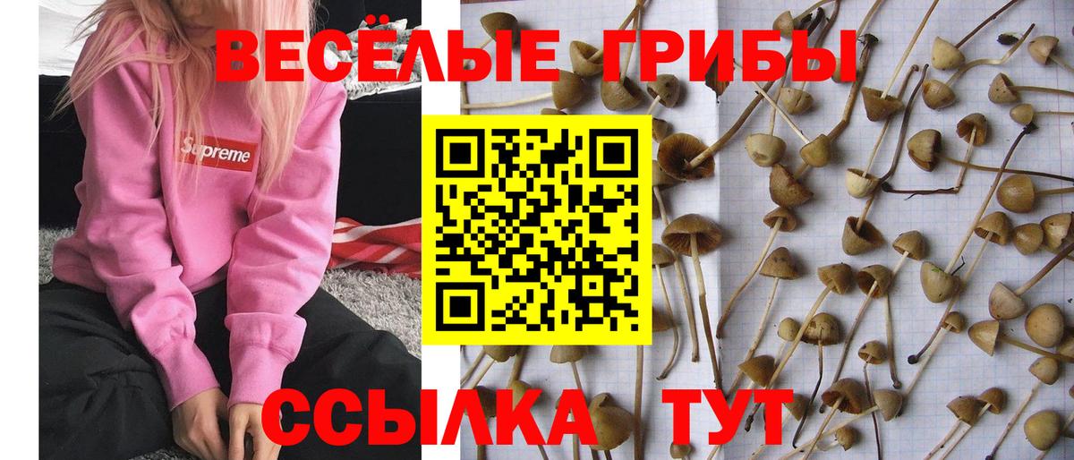 Псилоцибиновые грибы ЛСД Ноябрьск